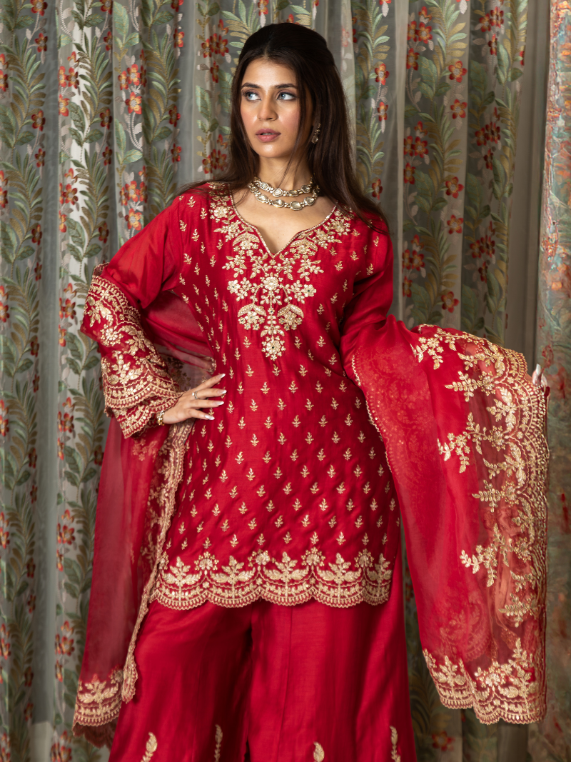 Aarini Mul Chanderi Dori Embroidered Sharara Set – Red
