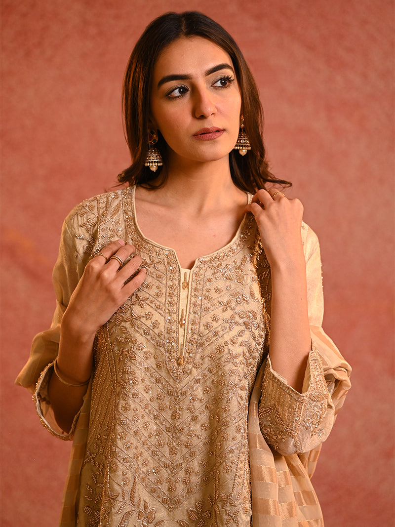 Ameera Tissue Embroidered Suit Set with Dupatta