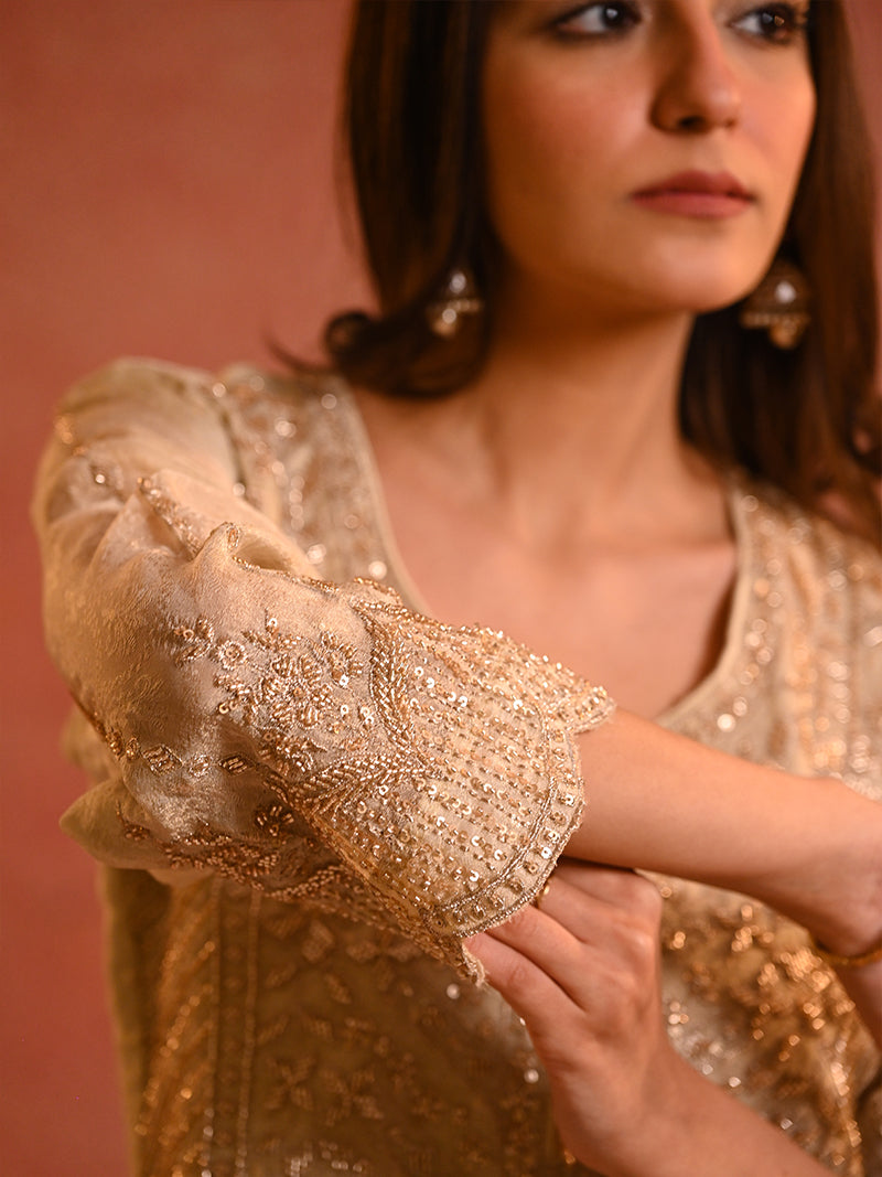 Ameera Tissue Embroidered Suit Set with Dupatta