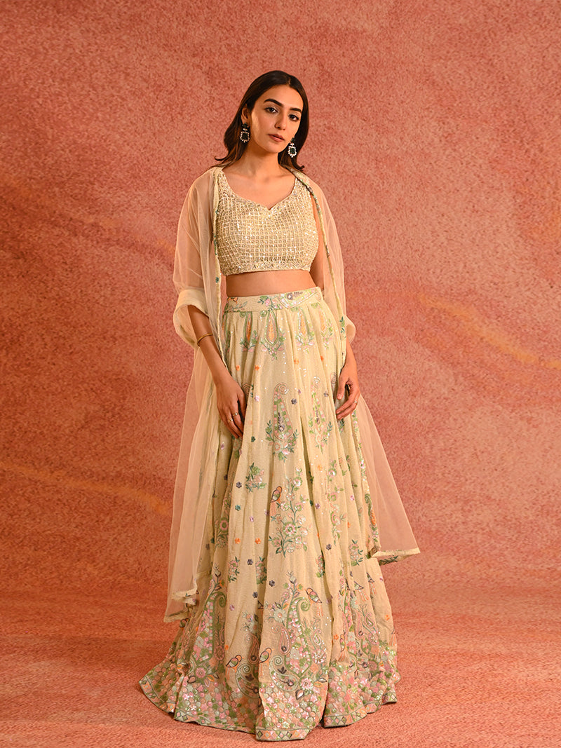 Mystical Lehenga Set