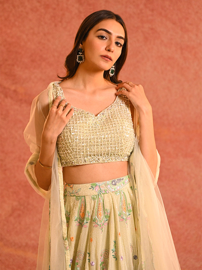 Mystical Lehenga Set