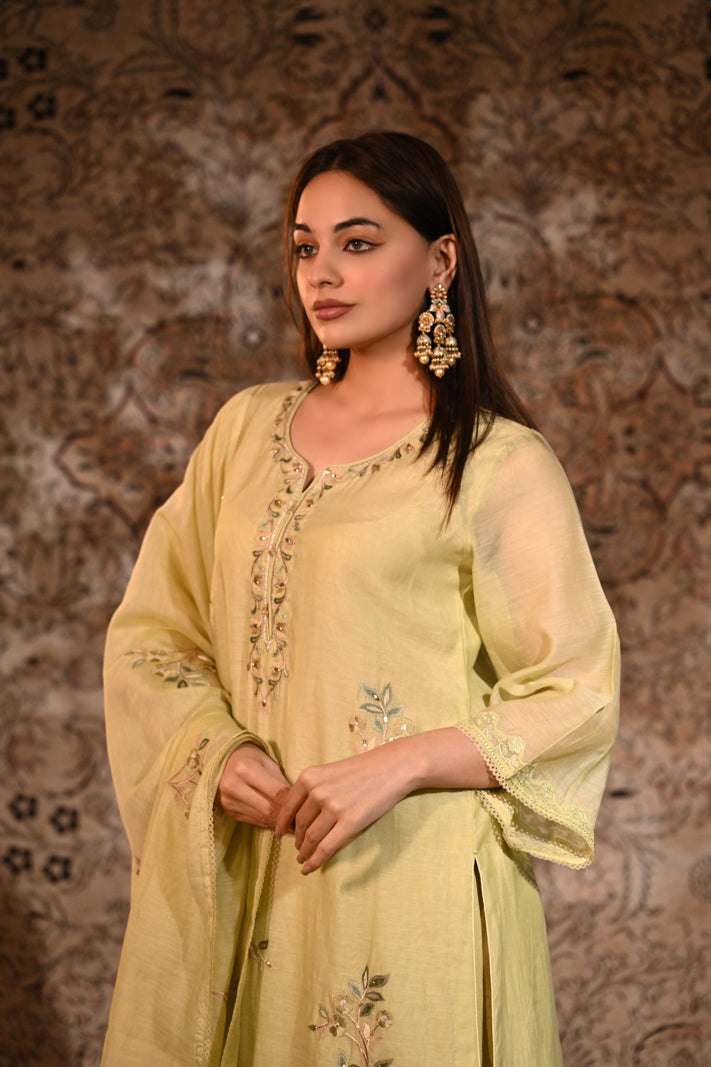 Pistachio Garden Embroidered Suit Set