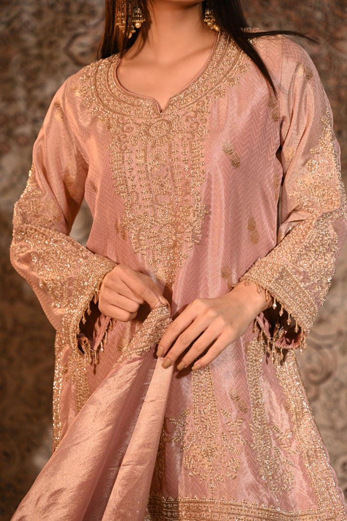 Gulrukh Blush Luxe Suit Set